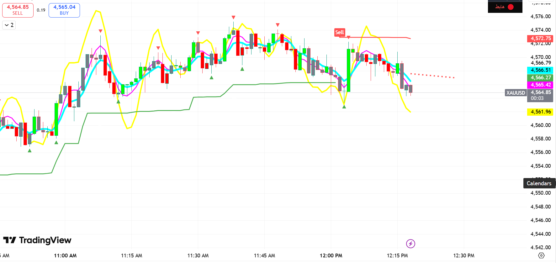 Screenshot of Pine Script Custom Indicators & Strategy