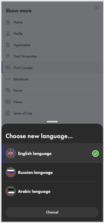 Screenshot of Simatex: Gateway to Higher Education in Russia